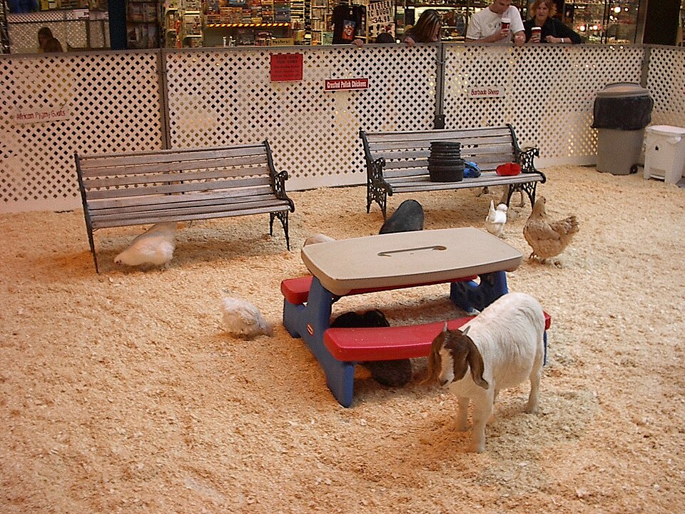 Kinderboerderij Wassenaarseweg