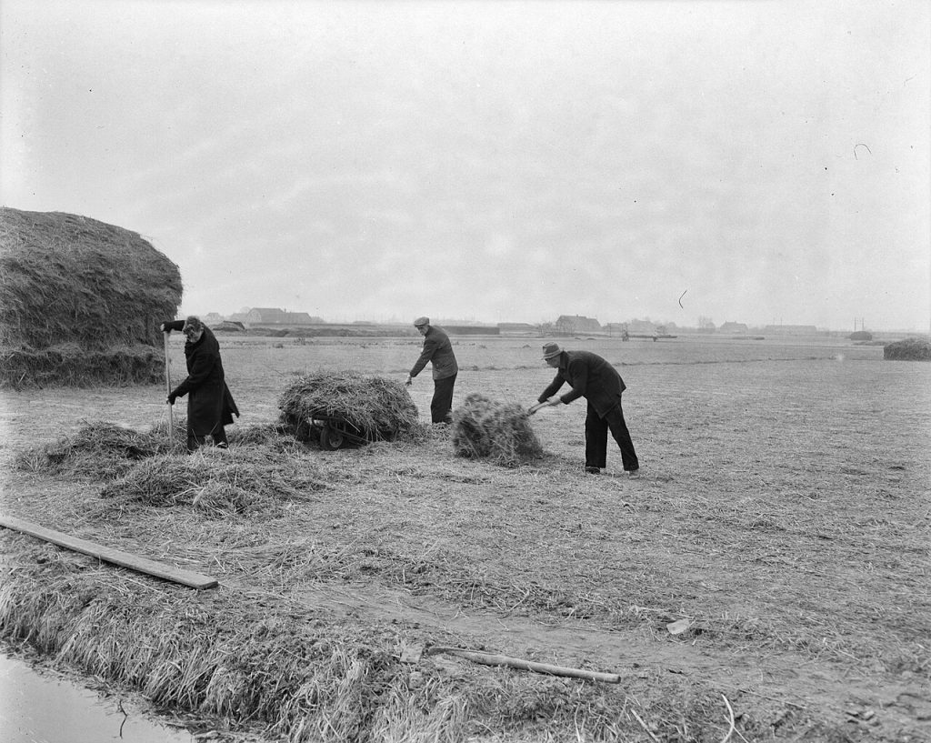 Uit Bollenstreek
