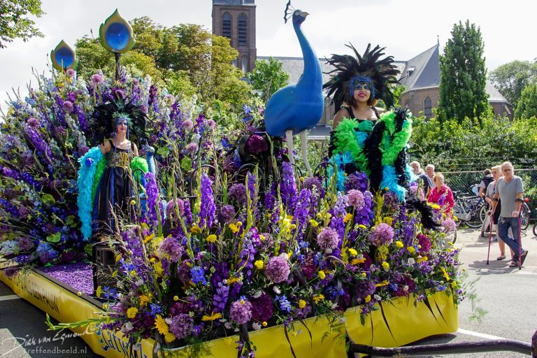 Zomers Bloemencorso Rijnsburg — festival in Bollenstreek