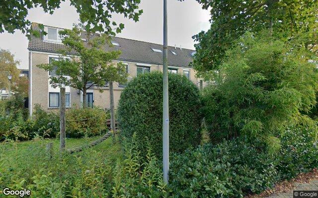 Speeltuin Saffraanzoom