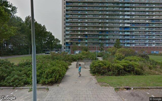 Speeltuin Treubstraat