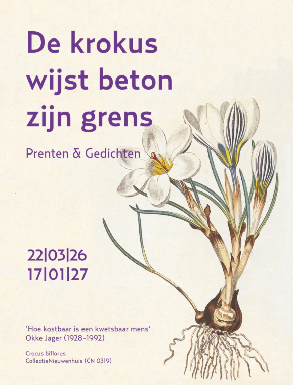 Prenten en Gedichten – Museum de Zwarte Tulp — museum-expo in de Bollenstreek