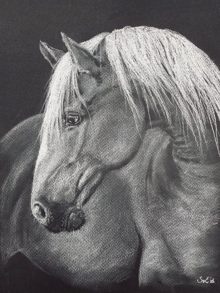 Expositie Lief Dier — museum-expo in de Bollenstreek