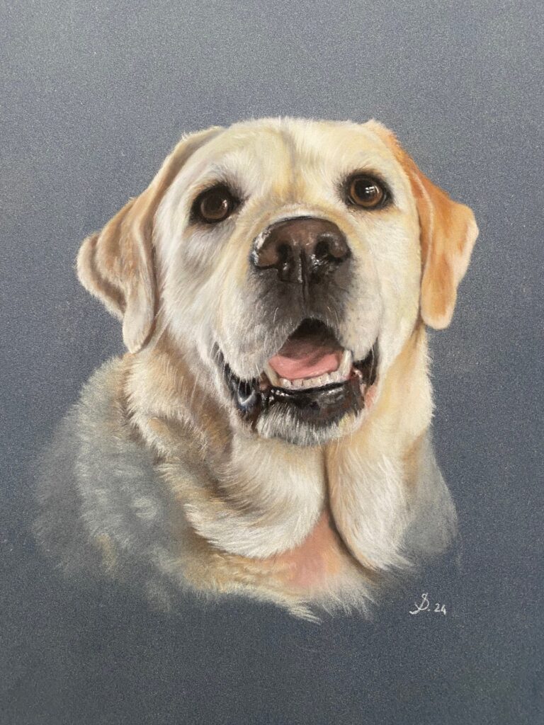 Expositie lief dier — museum-expo in de Bollenstreek
