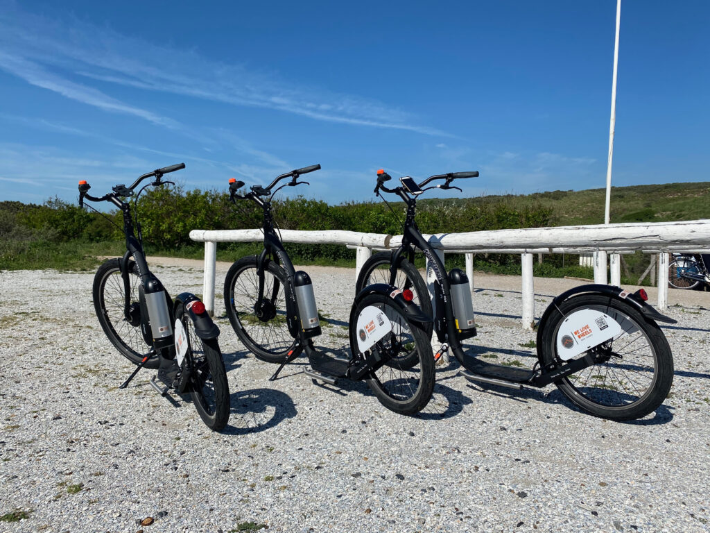 E-step tour / E-fatbike tour in de Bollenstreek