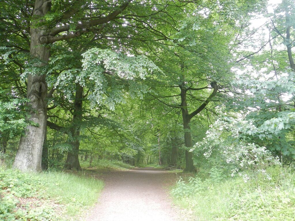 DE VUURVOGEL in Noordwijk