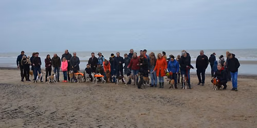 Nieuwjaarswandeling 2027 Langervelderslag te Noordwijk — Natuur in de Bollenstreek